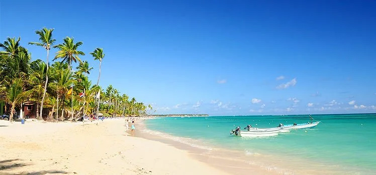 Beautiful palm-fringed shoreline of Agonda Beach in South Goa with calm turquoise waters and traditional fishing boats