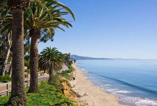 View looking along the sandy shore of Butterfly Beach with tropical palm trees on the left
