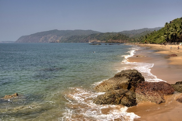 Pristine Agonda Beach in South Goa with palm trees and a lifeguard station