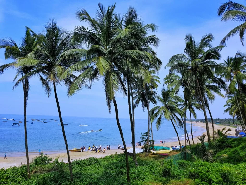 Beautiful view of Anjuna Beach in North Goa, with tall coconut palm trees in the foreground, calm sea, and sandy coastline under a clear blue sky