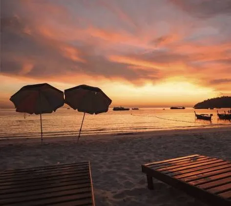 Beautiful palm-fringed huts along Palolem Beach in South Goa at sunset