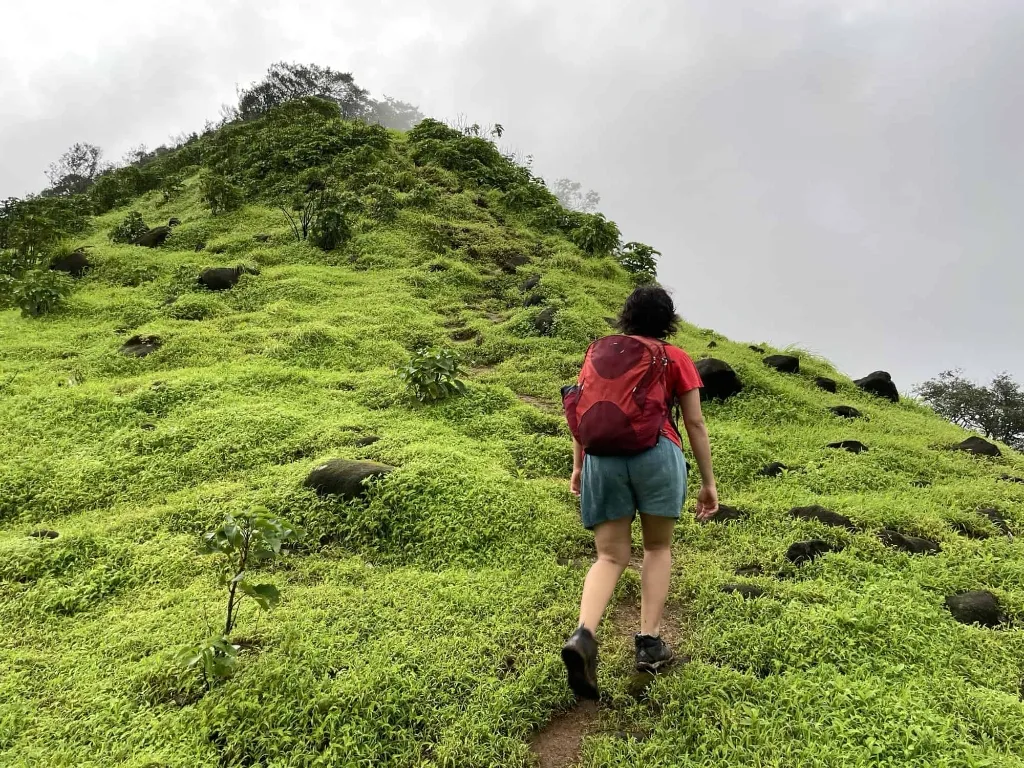 A traveler with a red backpack trekking up a lush, vibrant green hill in Goa under mist-shrouded skies