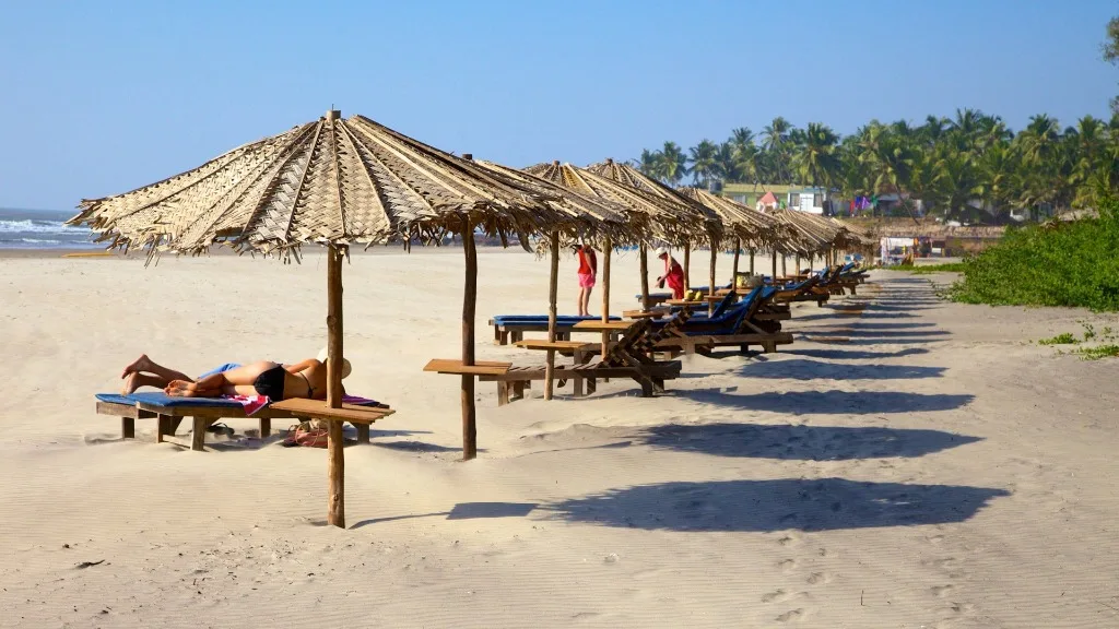 Morjim Beach, Goa showing comfortable beach loungers with straw umbrellas and palm trees on clean sand under a clear blue sky