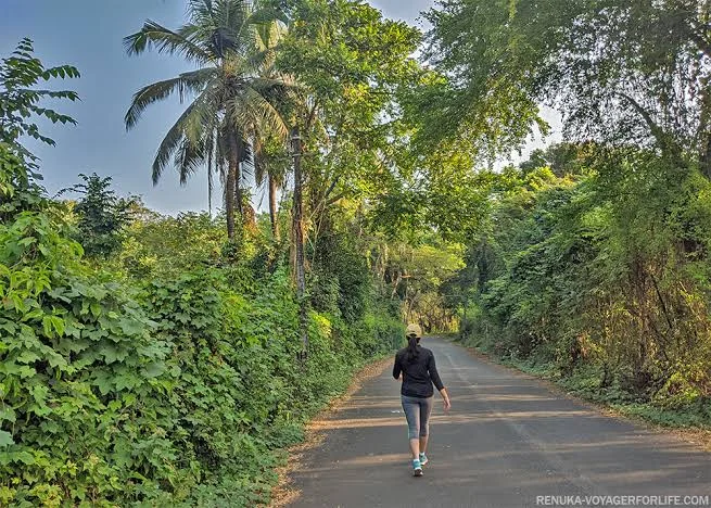 A traveler walking down a peaceful asphalt road in South Goa surrounded by dense tropical trees